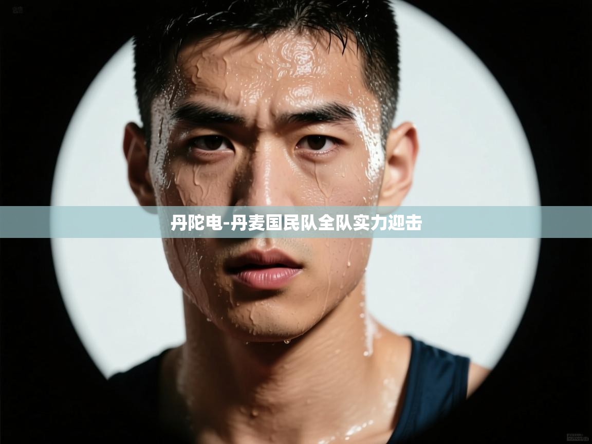 丹陀电-丹麦国民队全队实力迎击