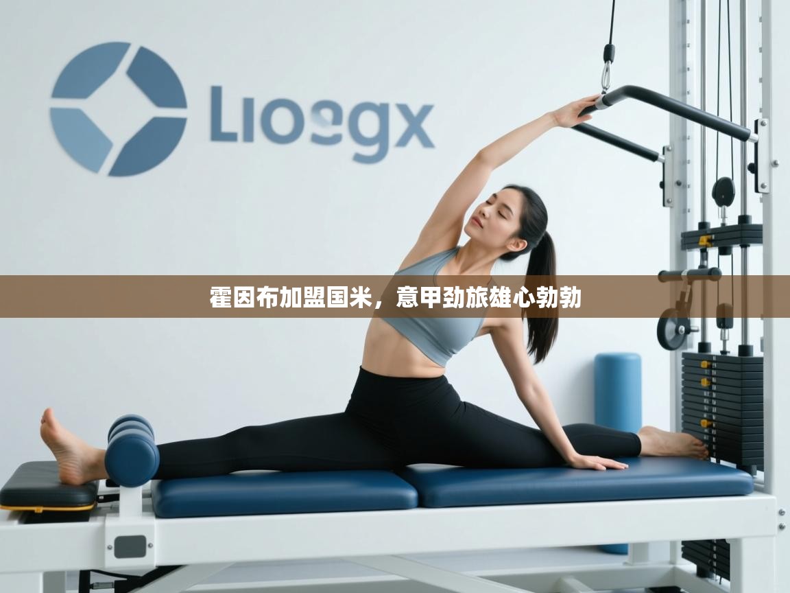 霍因布加盟国米，意甲劲旅雄心勃勃