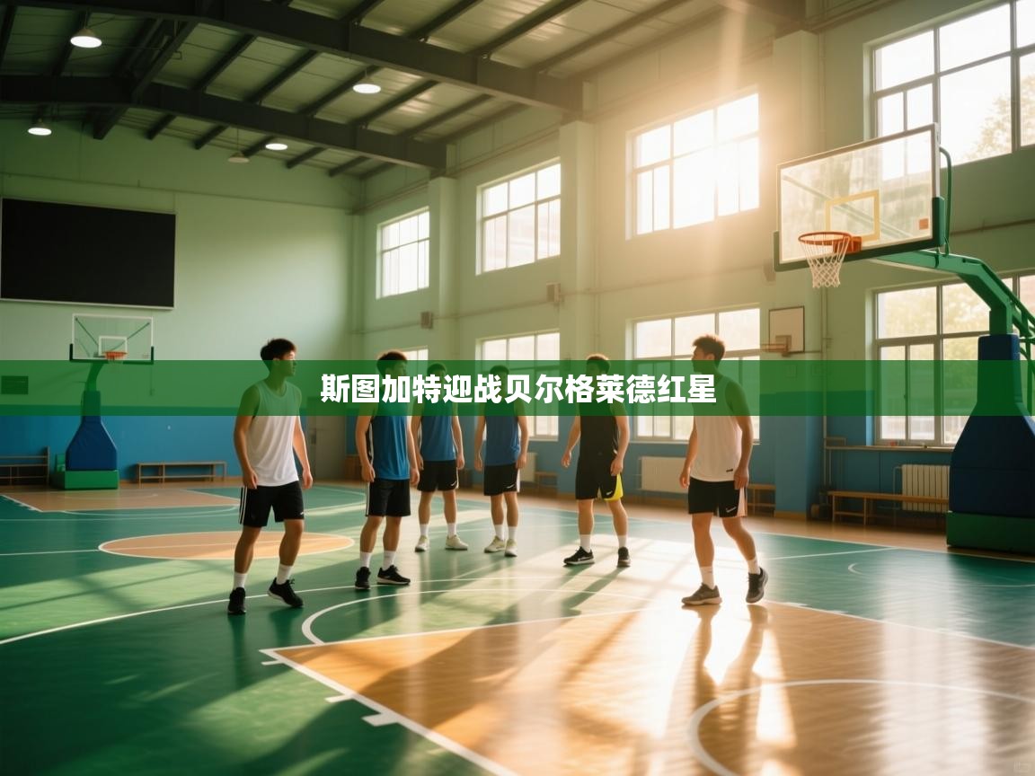 斯图加特迎战贝尔格莱德红星