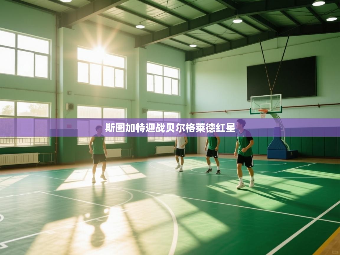 斯图加特迎战贝尔格莱德红星  第2张