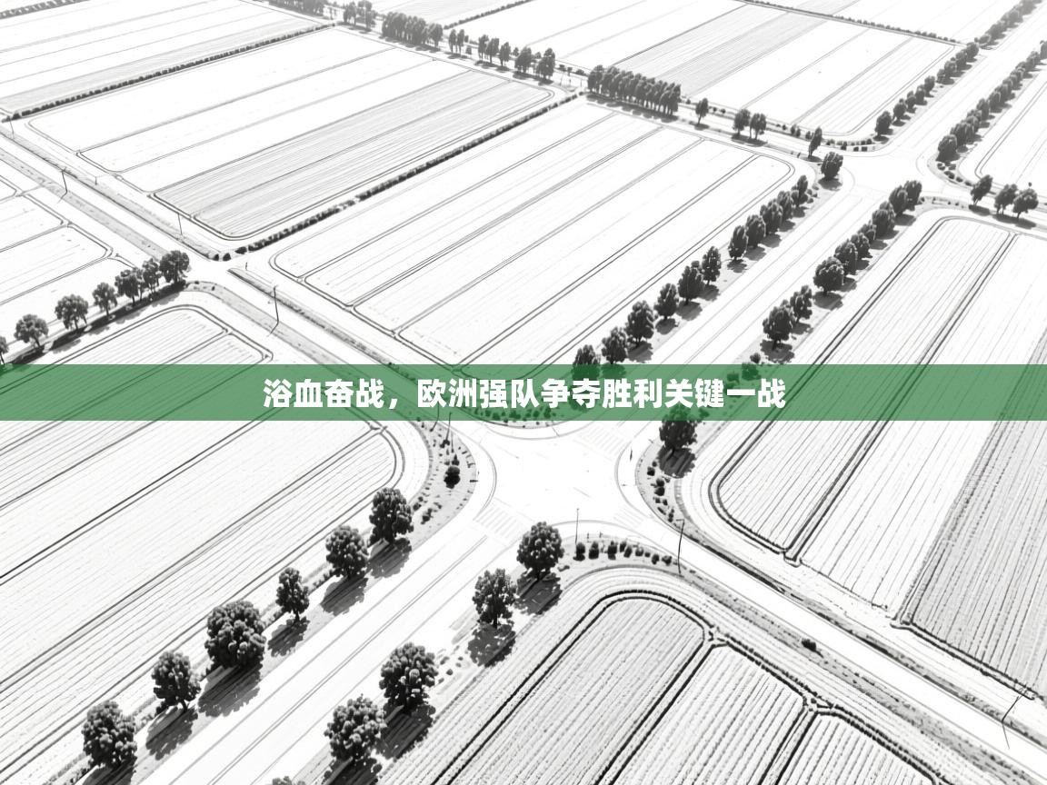 浴血奋战，欧洲强队争夺胜利关键一战