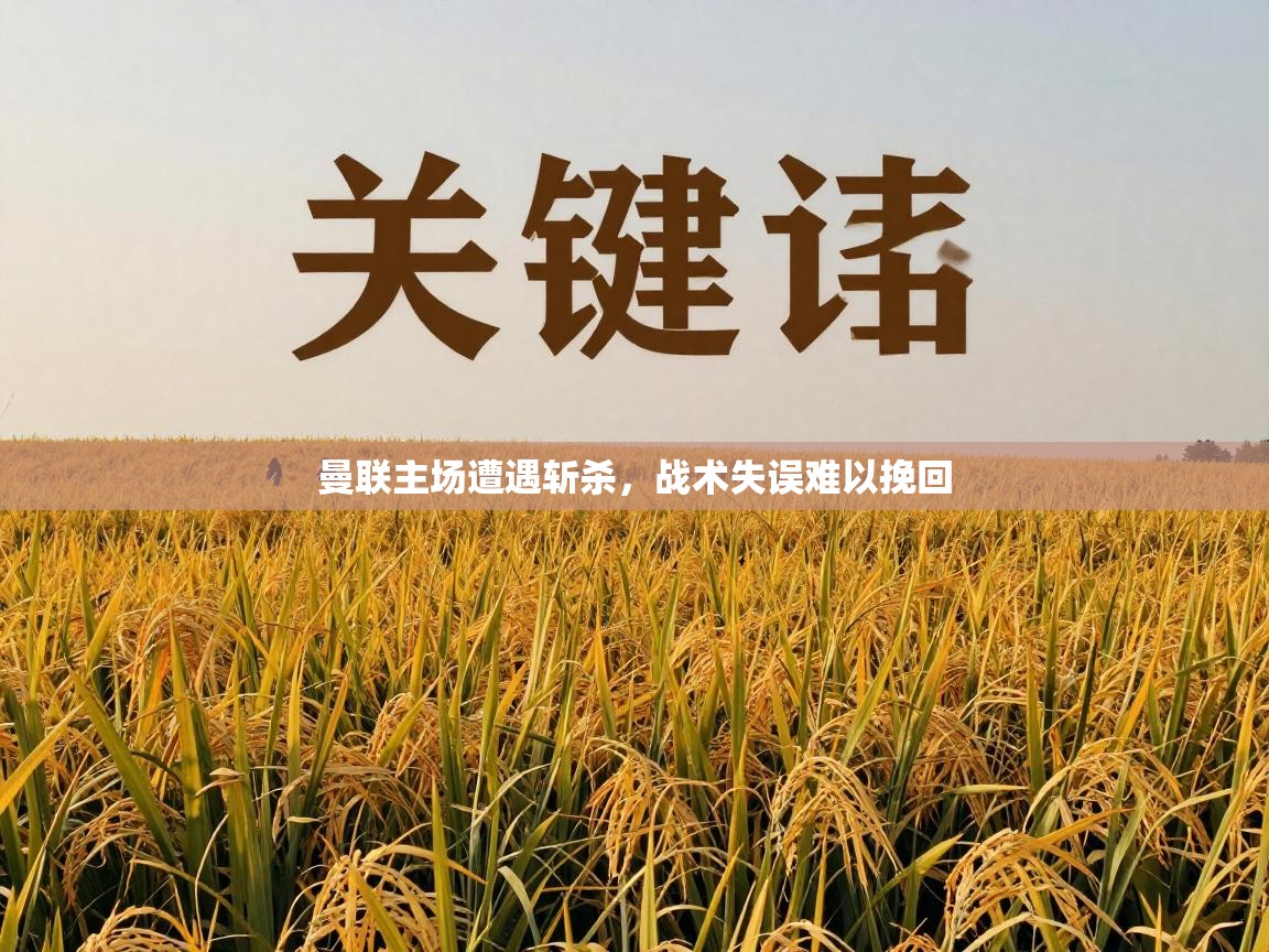 曼联主场遭遇斩杀，战术失误难以挽回  第2张